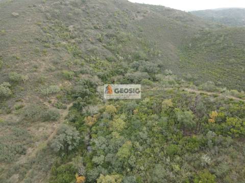 Terreno Rústico  Venda em São Barnabé,Almodôvar