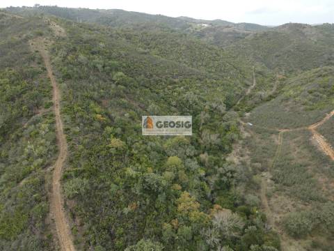 Terreno Rústico  Venda em São Barnabé,Almodôvar