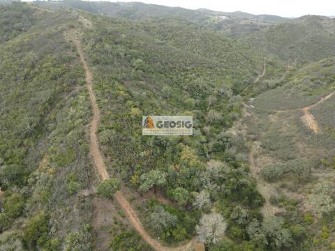 Terreno Rústico  Venda em São Barnabé,Almodôvar