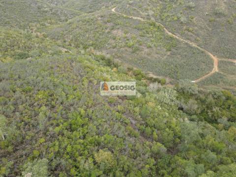 Terreno Rústico  Venda em São Barnabé,Almodôvar