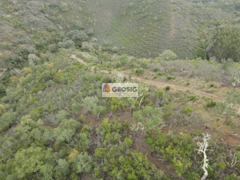 Terreno Rústico  Venda em São Barnabé,Almodôvar