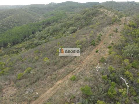Terreno Rústico  Venda em São Barnabé,Almodôvar