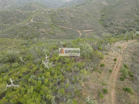 Terreno Rústico  Venda em São Barnabé,Almodôvar