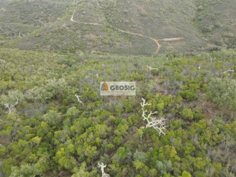Terreno Rústico  Venda em São Barnabé,Almodôvar