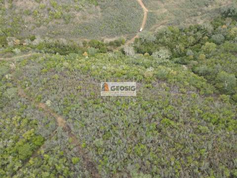 Terreno Rústico  Venda em São Barnabé,Almodôvar