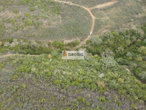 Terreno Rústico  Venda em São Barnabé,Almodôvar