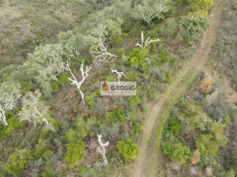 Terreno Rústico  Venda em São Barnabé,Almodôvar