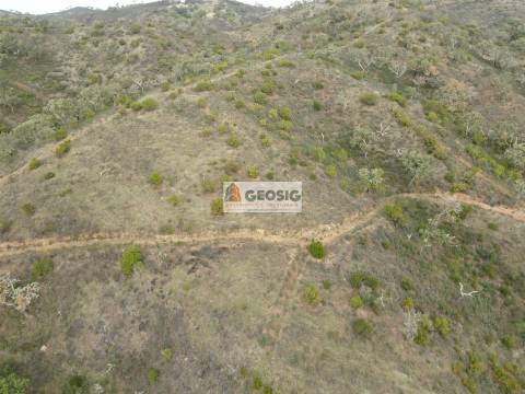 Terreno Rústico  Venda em São Barnabé,Almodôvar