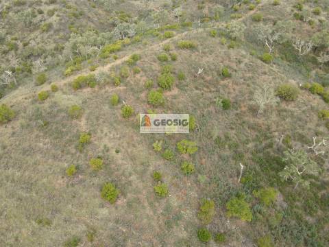 Terreno Rústico  Venda em São Barnabé,Almodôvar