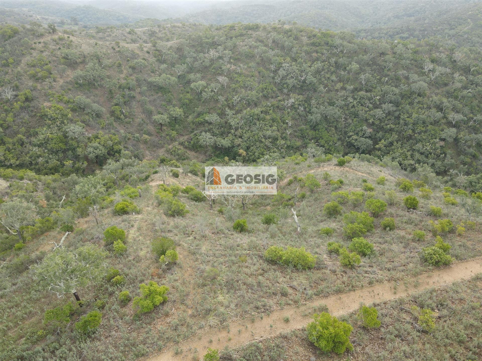 Terreno Rústico  Venda em São Barnabé,Almodôvar
