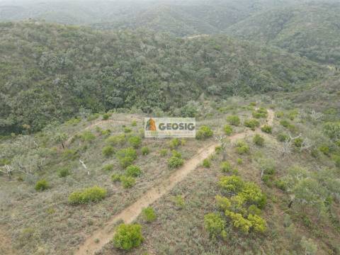 Terreno Rústico  Venda em São Barnabé,Almodôvar