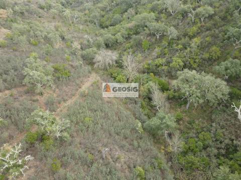 Terreno Rústico  Venda em São Barnabé,Almodôvar
