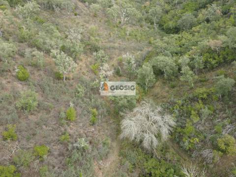 Terreno Rústico  Venda em São Barnabé,Almodôvar