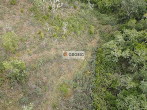 Terreno Rústico  Venda em São Barnabé,Almodôvar
