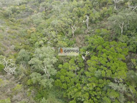 Terreno Rústico  Venda em São Barnabé,Almodôvar