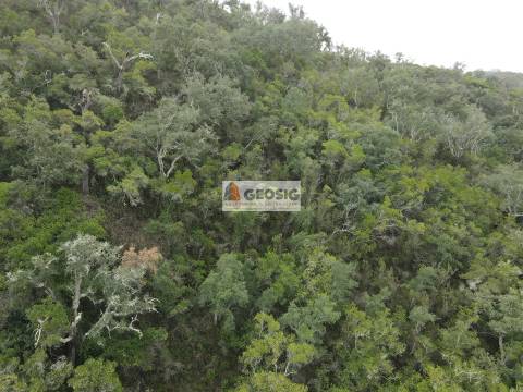 Terreno Rústico  Venda em São Barnabé,Almodôvar