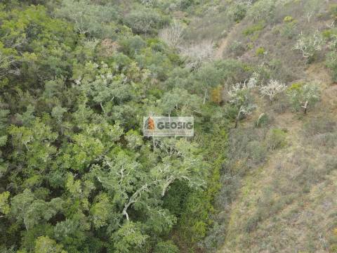 Terreno Rústico  Venda em São Barnabé,Almodôvar