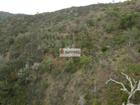 Terreno Rústico  Venda em São Barnabé,Almodôvar