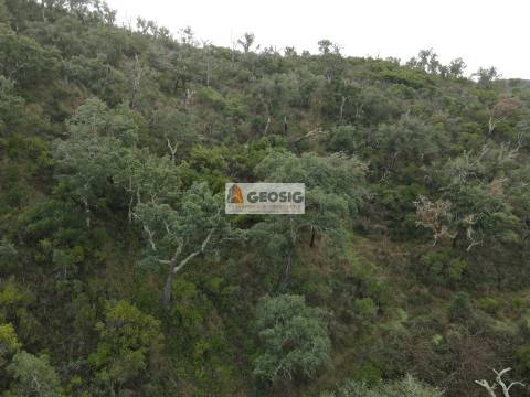 Terreno Rústico  Venda em São Barnabé,Almodôvar