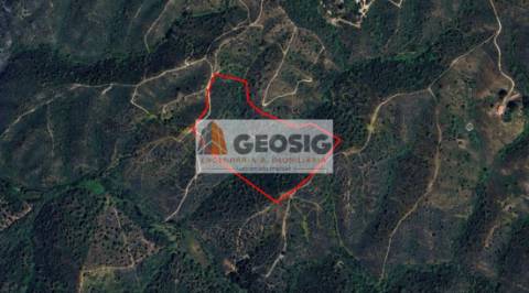 Terreno Rústico  Venda em São Barnabé,Almodôvar