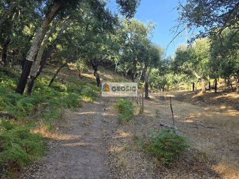 Herdade T2, Beja, Odemira, Relíquias