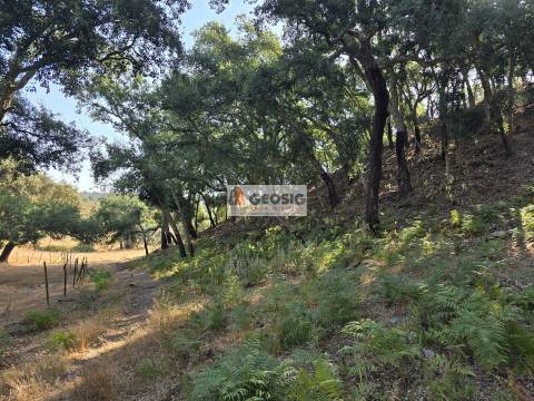 Herdade T2, Beja, Odemira, Relíquias