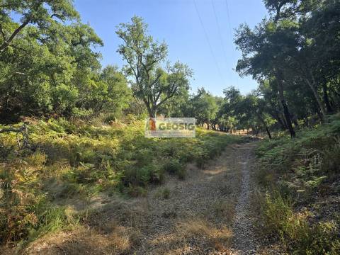 Herdade T2, Beja, Odemira, Relíquias