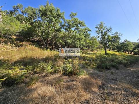 Herdade T2, Beja, Odemira, Relíquias
