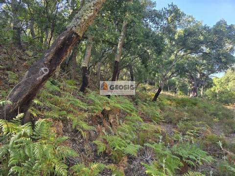 Herdade T2, Beja, Odemira, Relíquias