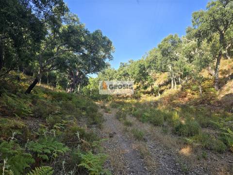 Herdade T2, Beja, Odemira, Relíquias