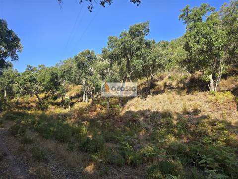 Herdade T2, Beja, Odemira, Relíquias