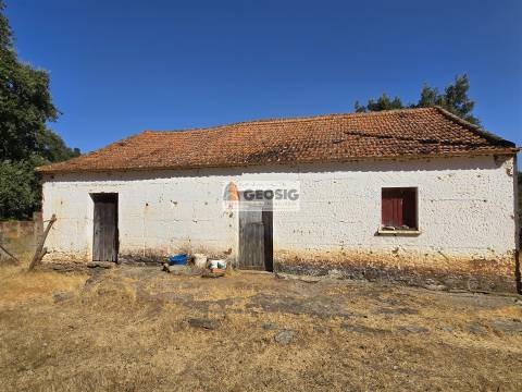 Herdade T2, Beja, Odemira, Relíquias