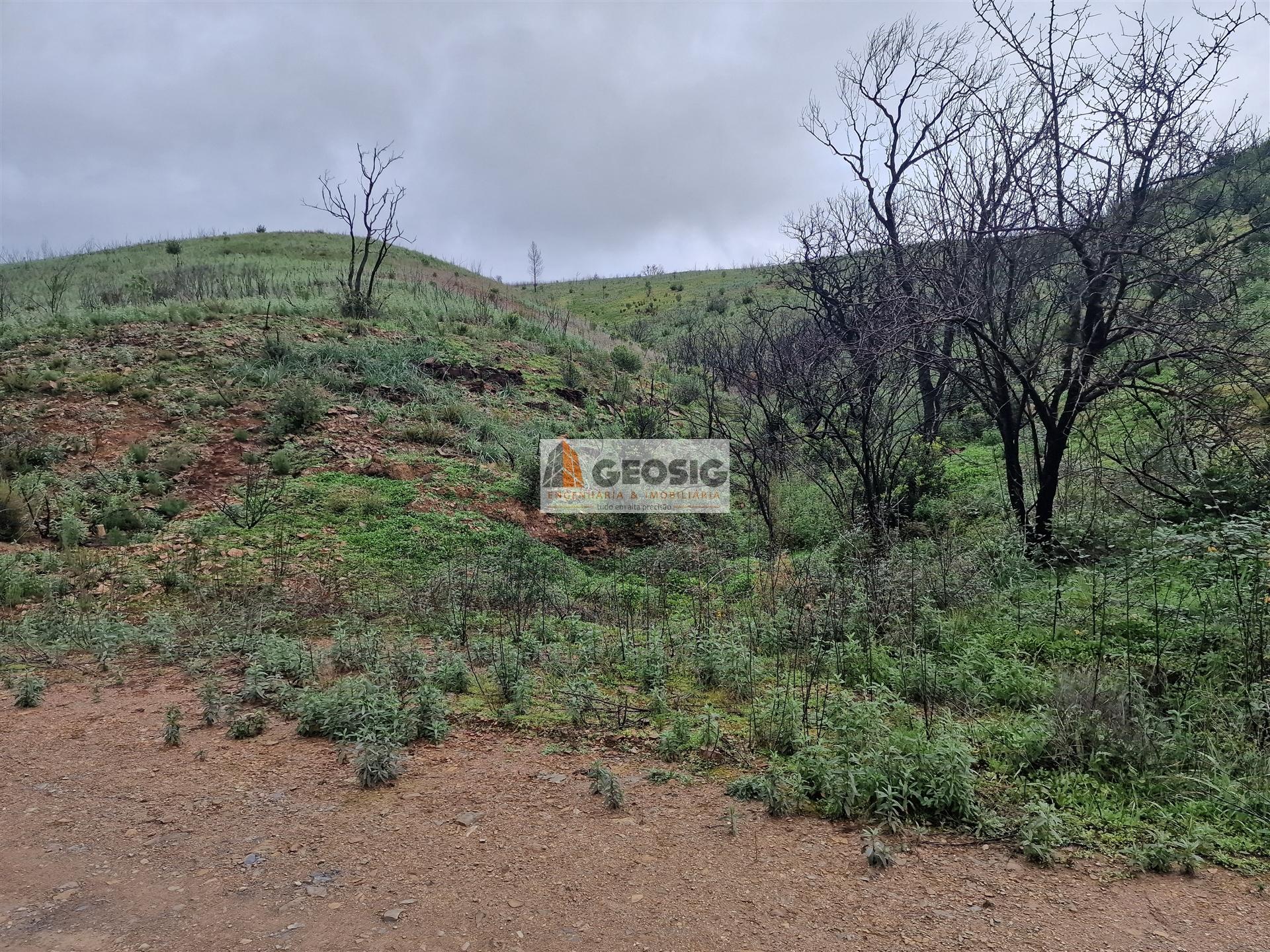 Terreno Rústico  Venda em São Marcos da Serra,Silves