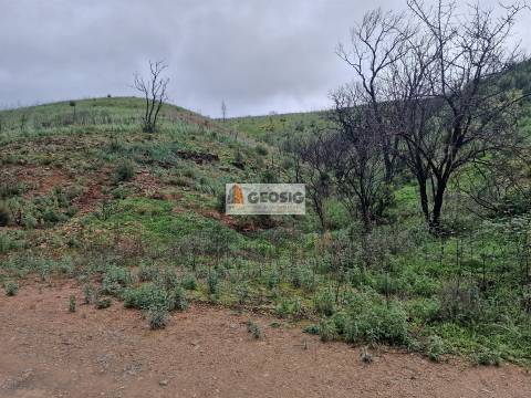 Terreno Rústico  Venda em São Marcos da Serra,Silves