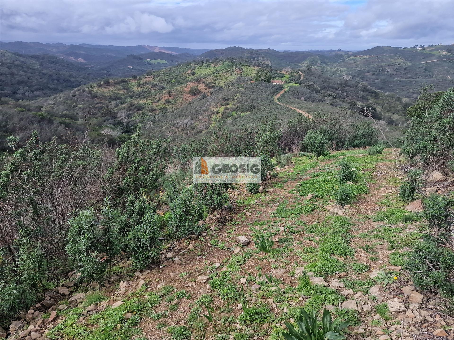 Terreno Rústico  Venda em São Marcos da Serra,Silves