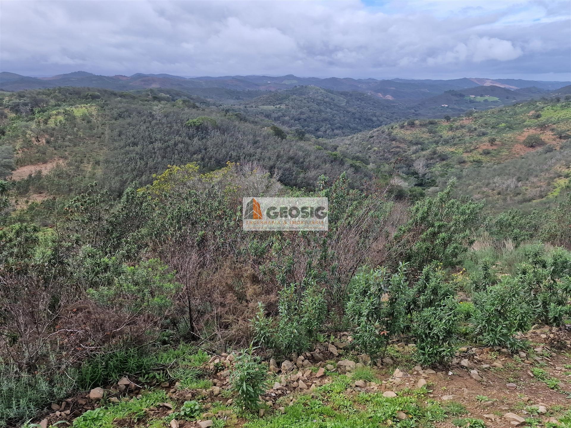 Terreno Rústico  Venda em São Marcos da Serra,Silves