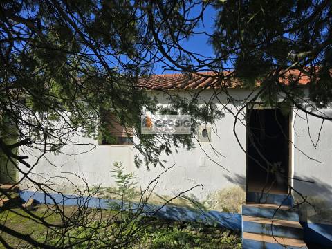 Moradia Geminada T2 Venda em Santa Clara-a-Nova e Gomes Aires,Almodôvar