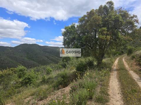 Moradia T2 Venda em São Barnabé,Almodôvar