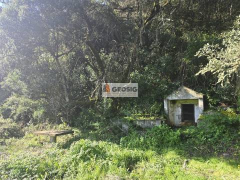 Terreno Rústico  Venda em Santa Clara-a-Nova e Gomes Aires,Almodôvar