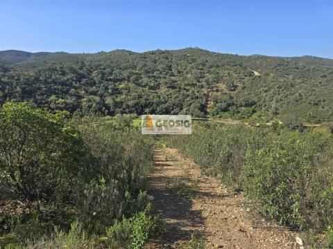 Terreno Rústico  Venda em Santa Clara-a-Nova e Gomes Aires,Almodôvar