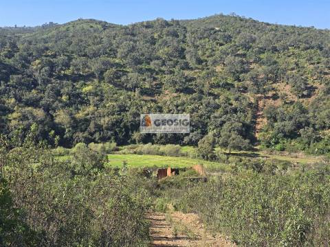 Terreno Rústico  Venda em Santa Clara-a-Nova e Gomes Aires,Almodôvar