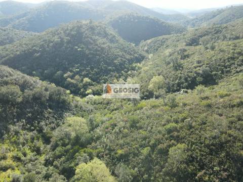Terreno Rústico  Venda em Santa Clara-a-Nova e Gomes Aires,Almodôvar