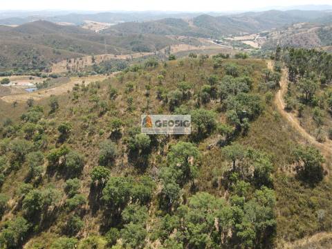 Herdade T2 Venda em Sabóia,Odemira