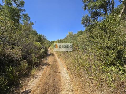 Herdade T2 Venda em Sabóia,Odemira