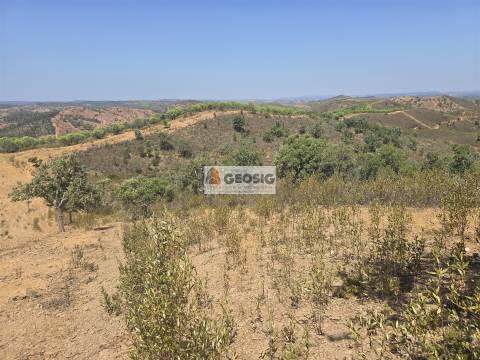 Herdade T2 Venda em Sabóia,Odemira