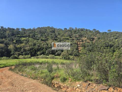 Terreno Rústico  Venda em São Barnabé,Almodôvar
