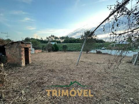 Moradia para restaurar na Avenida da Liberdade