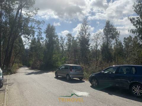 Terreno em Zona Industrial