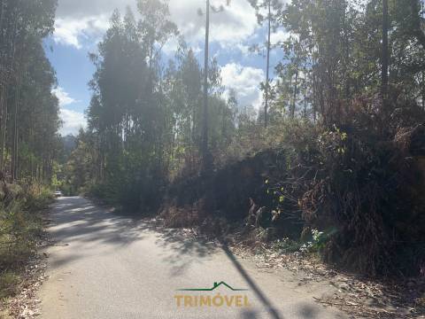 Terreno em Zona Industrial