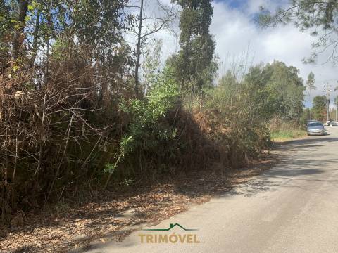 Terreno em Zona Industrial